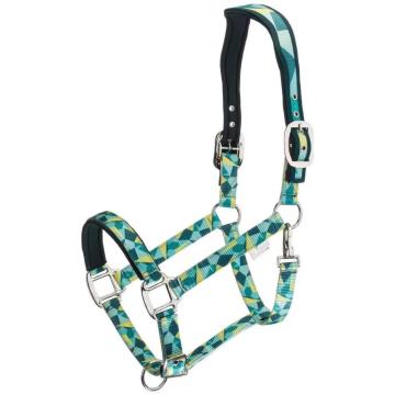 Adjustable Padding Horse Halter Bridle Equestrian