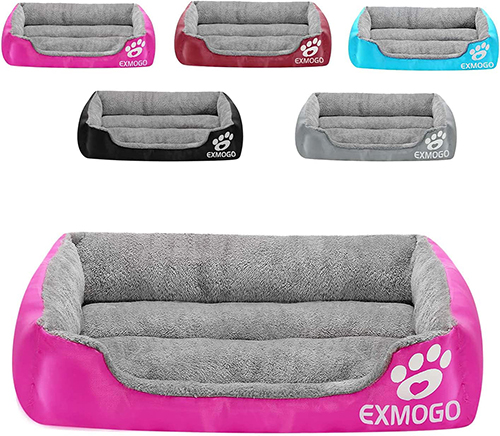 dog bed at costco