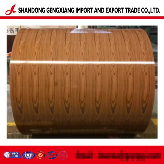 Prepainted or Color Coated Steel Coil PPGI or PPGL