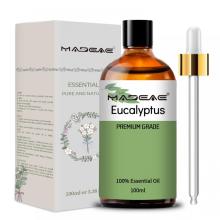 Hot sale 100% Pure Natural Organic Eucalyptus Essential Oil For Face Body Hair Skin Care Spa Massage