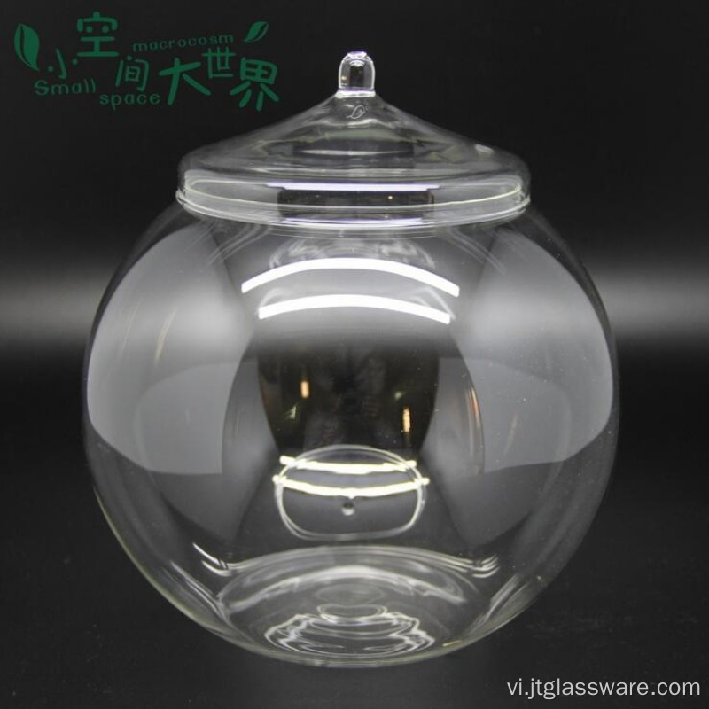 Hũ thủy tinh Terrarium có nắp gỗ