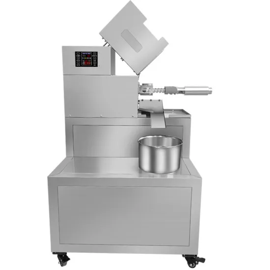 Household Fully Automatic Olive Peanut Cold Mini Oil Pressing Machine Small Home Sesame Oil Press Machine