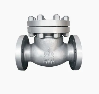 Ecotec American Standard Check Valve