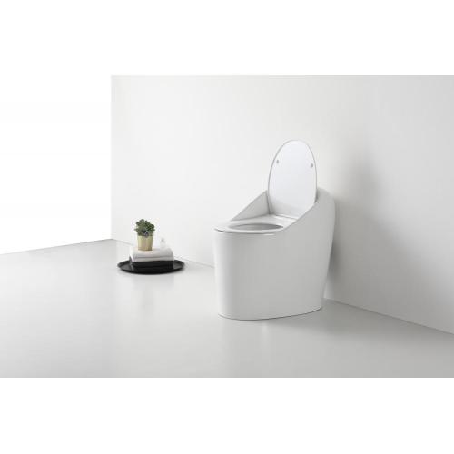 Ceramic WC Toilet with Soft Closing Seat Cover