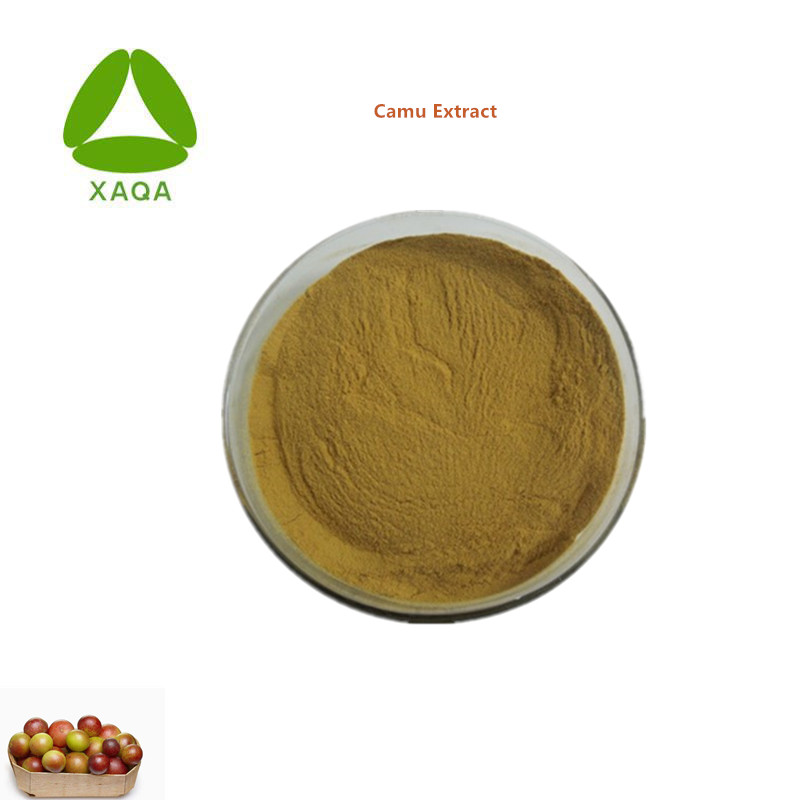 Botanical Extracts Fruit Powder Camu Extract Vitamin C