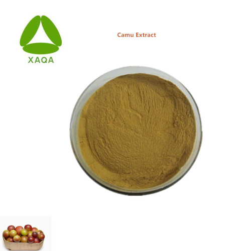 Botanical Extracts Fruit Powder Camu Extract Vitamin C