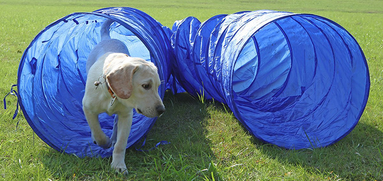 DETAIL Flexible Shape tunnel