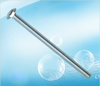 Carriage Bolt M6-30