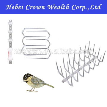 GKPC-62 : Bird Control & Prevention - Bird Spikes hot on sale