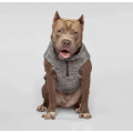 Knit Fleece-Lined Dog Sweater