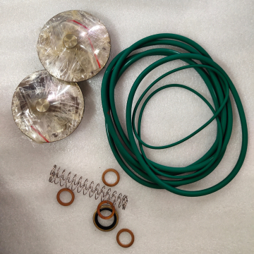 Factory Price Check Valve Kit 2906002100 for Air Compressor
