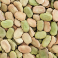 All Natural Vegan High Quality Broad Beans