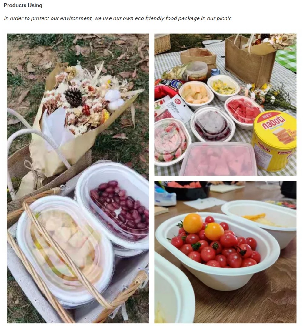 Eco Friendly Food Package In Picnic