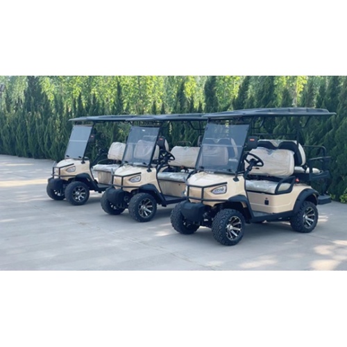 Coșuri electrice de golf de utilitate de vânzare