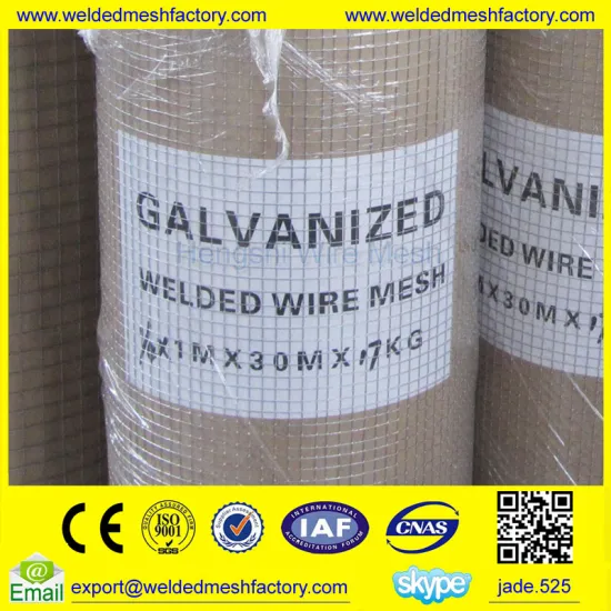 Galvanized welded wire mesh factory