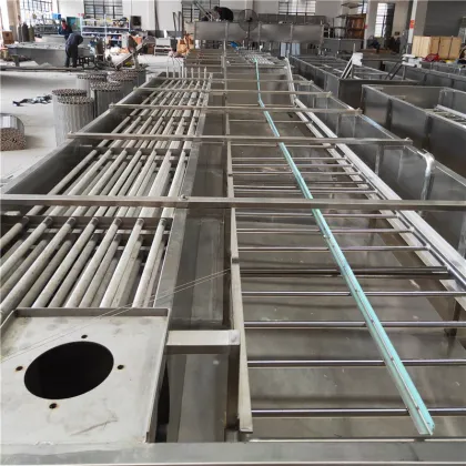 Industrial IQF Daylily Fluidized Bed Quick Freezer