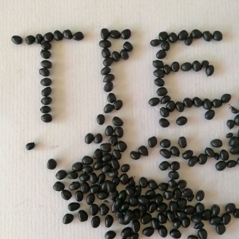 TPE4