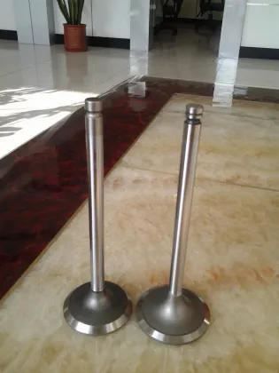 Machinery Engine Valve Parts for CUMMINS 6BT