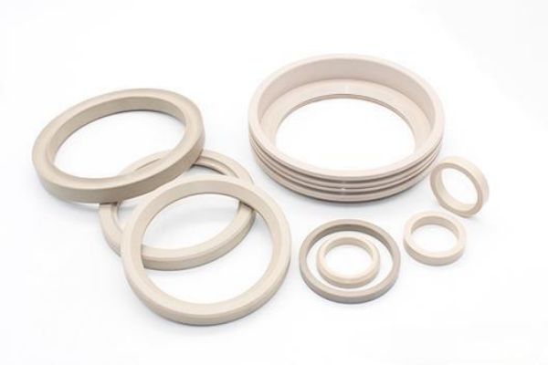 PEEK sealing rings4
