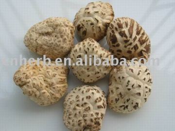 dried shiitake mushroom