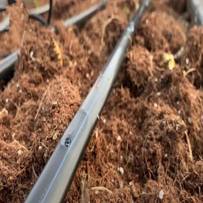 Drip Irrigation Systems for Garden Hose Watering and Irrigation