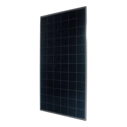 precios de paneles solares 100% gold standard