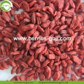 Factory Supply Nutrition Organic Certificated Wolfberries