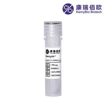 KanryAb™ mAb anti-umano IFN-γ umanizzato (Det)