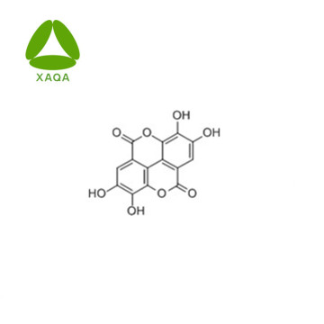 90% Ellagic Acid Powder Price Solubility In Water