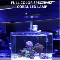 Lampe nano-récif dirigée par l&#39;aquarium