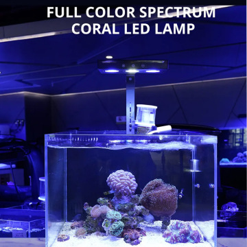 LED -Salzwasseraquarium -Licht voller Spektrum dimmbare Lampe