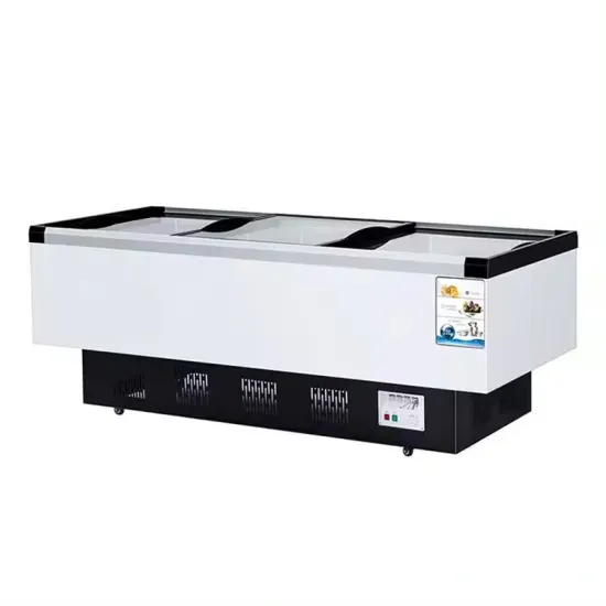 Single Door Display Fridge Freezer Door Magnetic Strip Commercial Glass Door Freezer