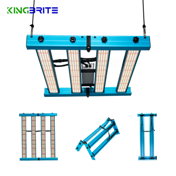 Kingbrite 240W Samsung LM301H LED Tumbuh lampu untuk tumbuhan dalaman