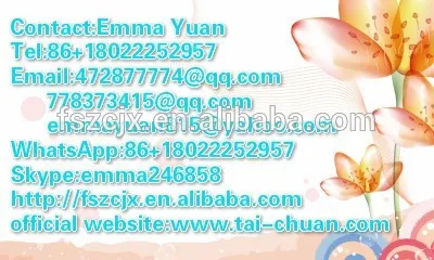 ZC Horizontal Automatic Wet Tissue Pillow Packing Machinery(TCZB-450)