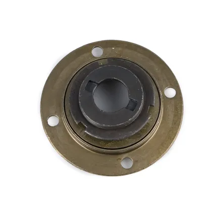 Factory Bike Freewheel Replacement: Single Speed Bicycle Freewheel Accessory