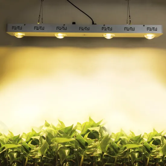 factory customize design ODM OEM hps grow light replacement for greenhouse project