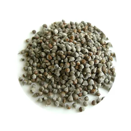 Customers Always Buy chasteberry extract