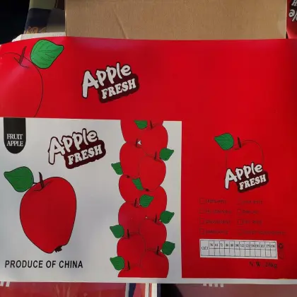 High Quality Fresh Apples