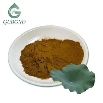 Lotus Leaf Extract 2% Nuciferine Bulk Brown Powder