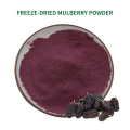 Freeze Dried Fruit Powder Freeze Dried Organic Mulberry Fruit Powder Supplier