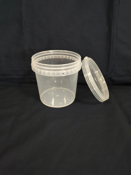 Disposable sealed storage box