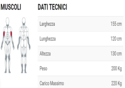 Biceps Curl For Bodybuilding Exercise arms Work biceps