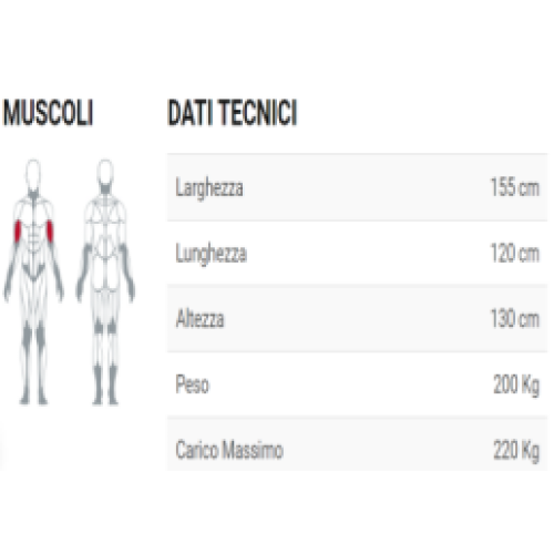 Biceps Curl For Bodybuilding Exercise arms Work biceps