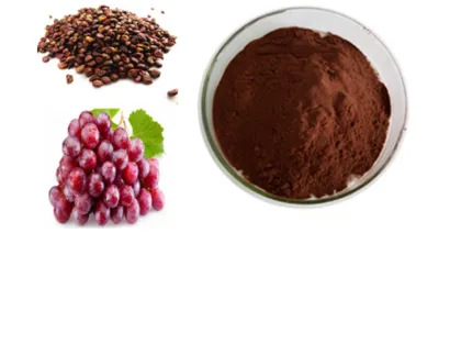 Fruit Extract Organic OPC Grape Seed Extract Powder