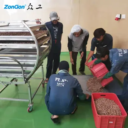 Fully Automatic Zhucheng Zhonggong Machinery Spice Sterilizer and Dryer