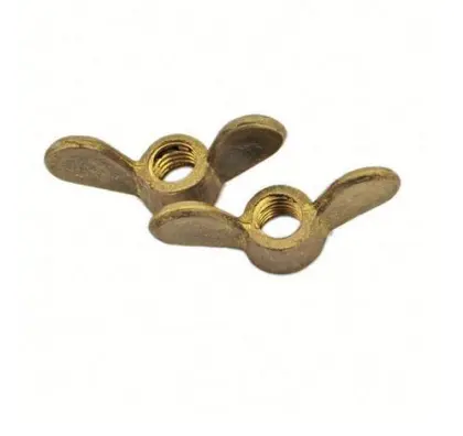 Fastener Non-standard Galvanized Wing Nut