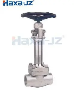 Forged Steel Cryogenic Globe Valve