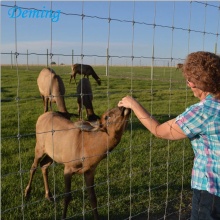 Factory  Galvanized Deer Farm Fence for Sale