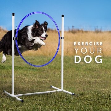 Better Sporting Dogs 3 Pc Dog Agility Equipment