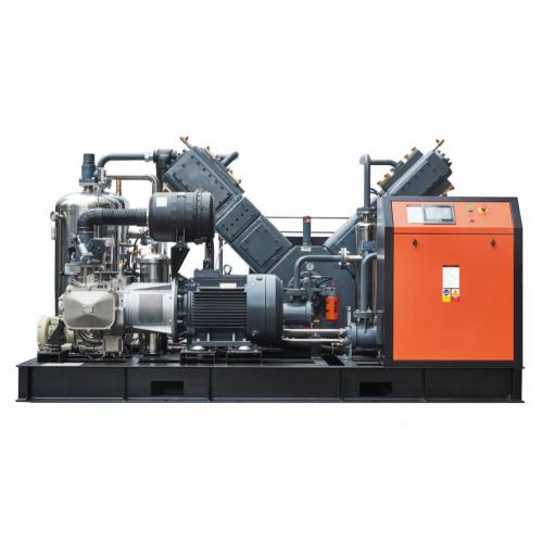 Oil free piston air compressor